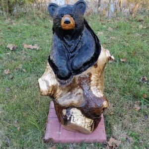 bear in stump