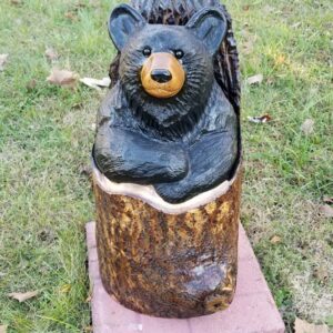 bear in stump